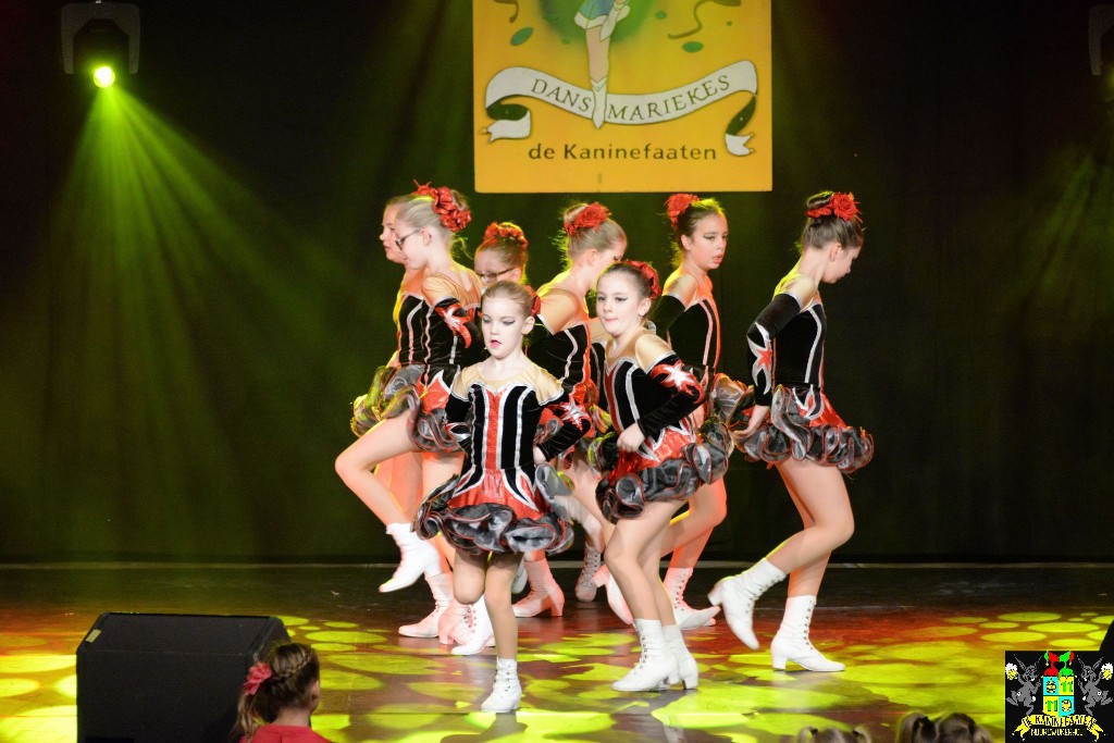 ../Images/Dansmariekefestival 2020 128.jpg